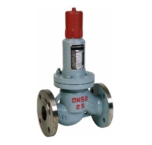 AHN42F 平行式安全回流阀